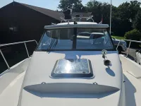 Trophy 2352 Walkaround