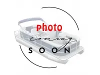 Barletta Legacy 223 swingback
