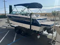 Chaparral 247 ssx