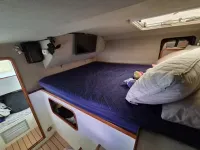 Catamaran Cruisers 9.5M