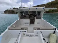 Catamaran Cruisers 9.5M
