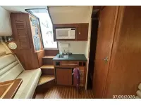 Pursuit 3000 Offshore