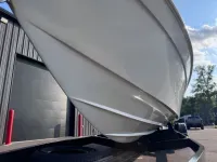 Active Thunder 32