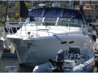 Sea Ray Express Cruiser 