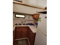 Carver 4207