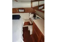Carver 4207