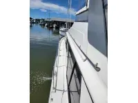 Carver 4207