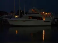Carver 4207