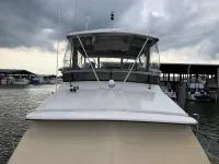 Carver 4207