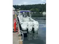 Baja 340 Sportfish