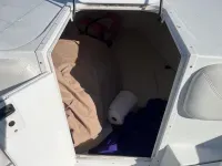 Baja 340 Sportfish