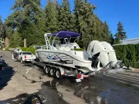 Baja 340 Sportfish