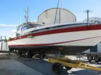Maiora 55' 