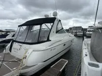 Cruisers 370