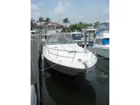 Sea Ray Sundancer 