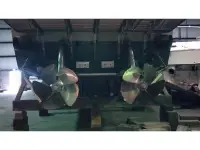 Magnum Bestia Sports Cruiser 