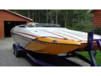 Advantage Sport Cat 