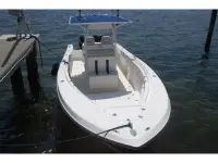 Salt Shaker 260 CC