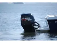 Salt Shaker 260 CC