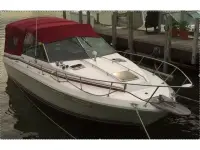 Sea Ray Amberjack 