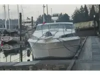 Sea Ray Express Cruiser 
