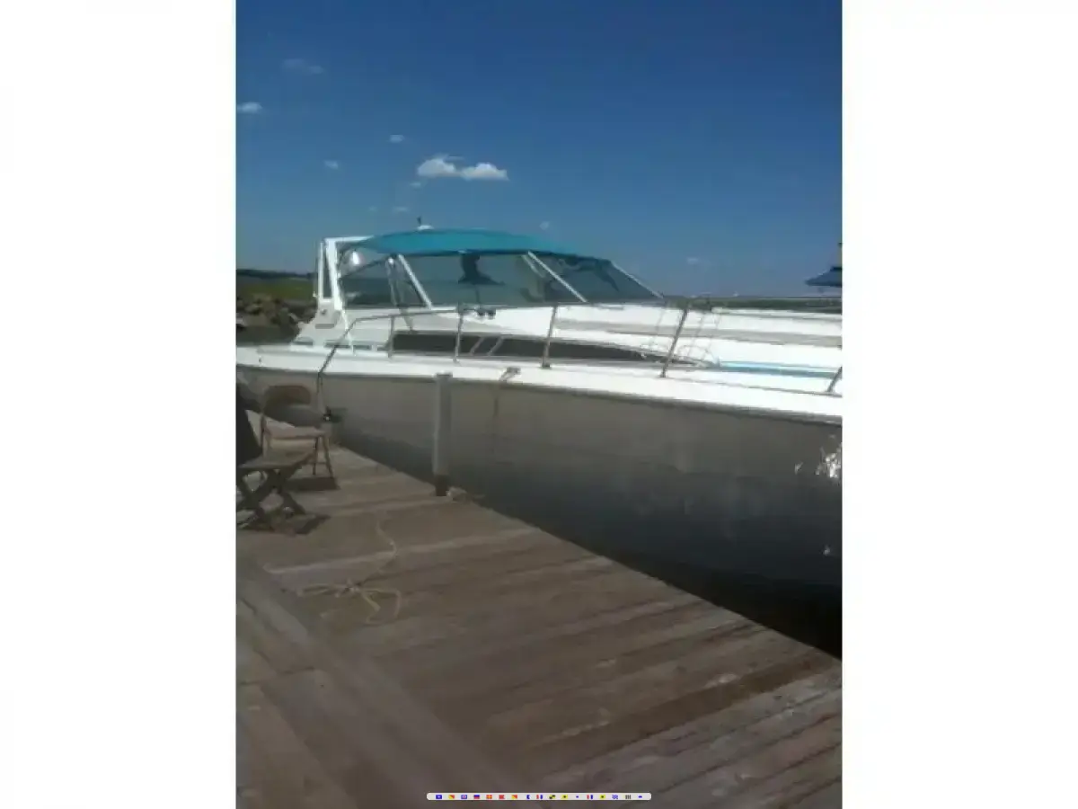 Sea Ray Express Cruiser 390 Sea Ray Express Cruiser 390